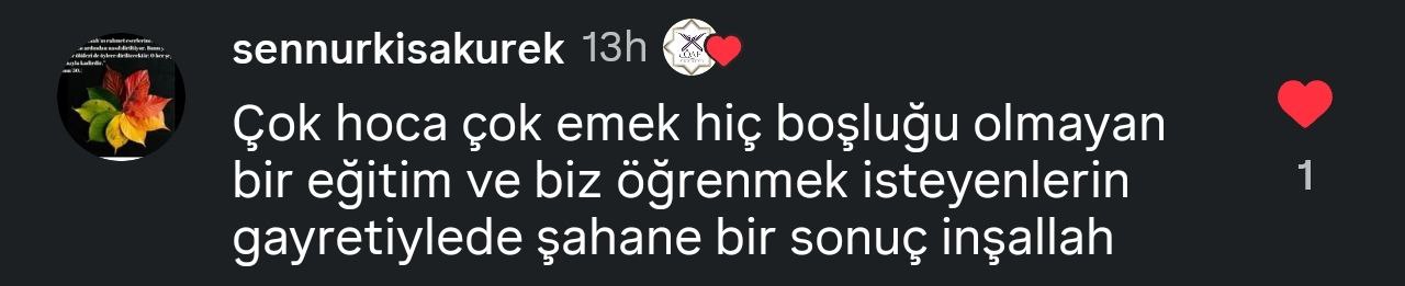 Kullanıcı 2